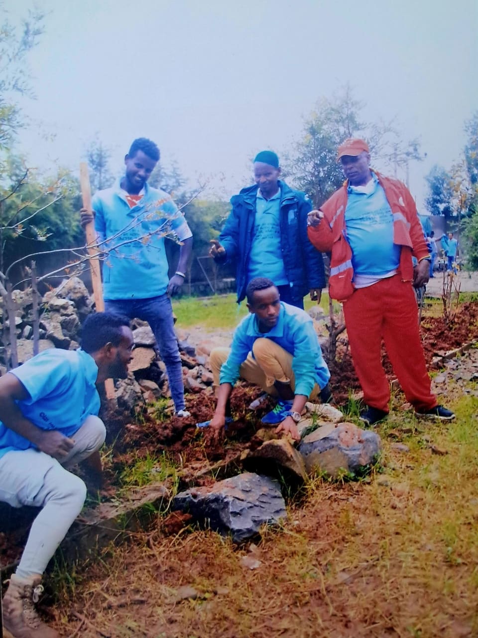 Four colleagues around a freshly dug hole, settling a young tree into the soil.